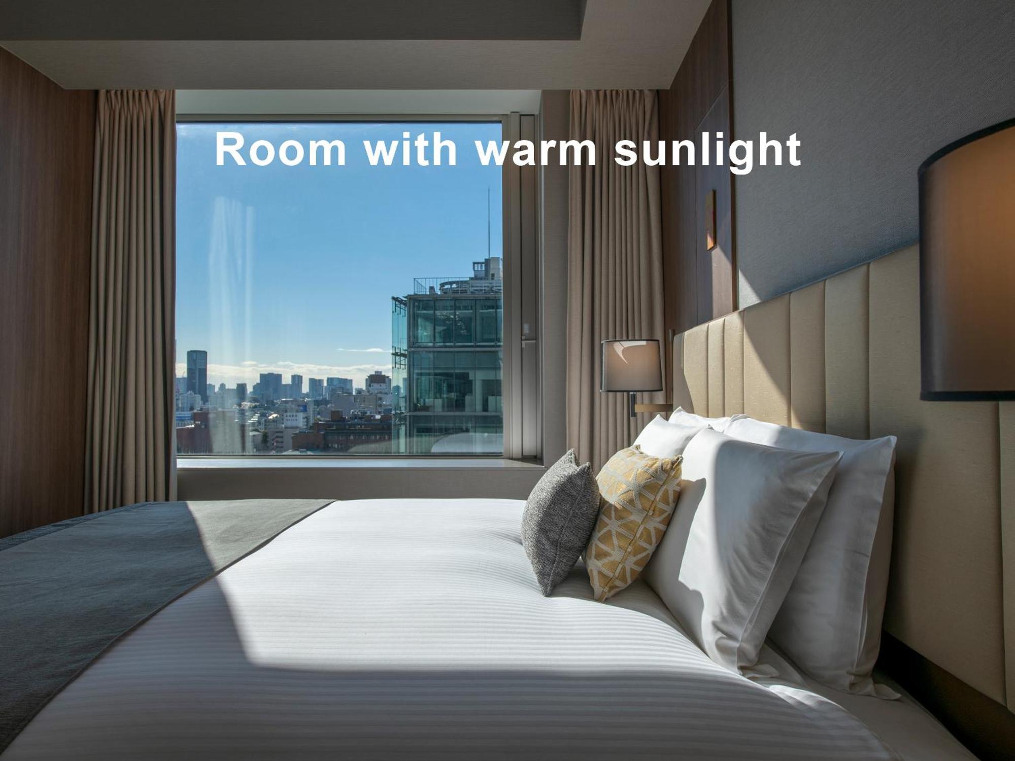 Mitsui Garden Hotel Roppongi Tokyo Premier Exteriör bild Room with warm sunlight